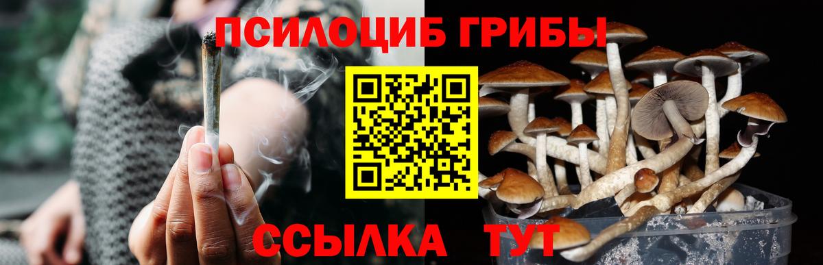 Галлюциногенные грибы прущие грибы  Вход с VPN  Скопин 